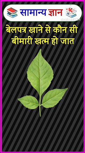 Ssc gk | Top 20 gk questions 🔥💯| Gk in hindi | Gk Quiz | #gk #gkfacts #gkquiz #gkhindi #svgkstudy.