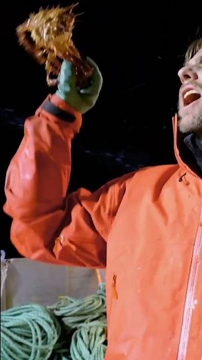 Sig Hansen Discovers A Crab He's Never Seen Before! 🦀 #shorts #deadliestcatchthevikingreturns