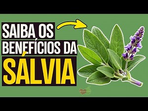 10 Benefits of Sage: What it's for and how to use it - Does it have side effects?