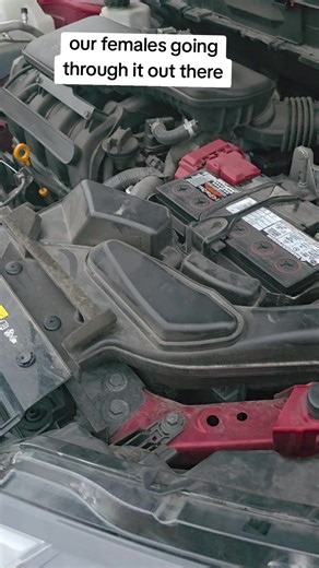 Precision Auto Clinic (@precisionautoclin)’s videos with original sound - Sports_trill