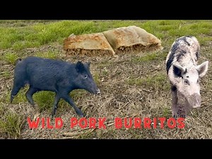Trapping Wild Louisiana Pigs (Catch & Cook) Simple Burrito Recipe That's So Good