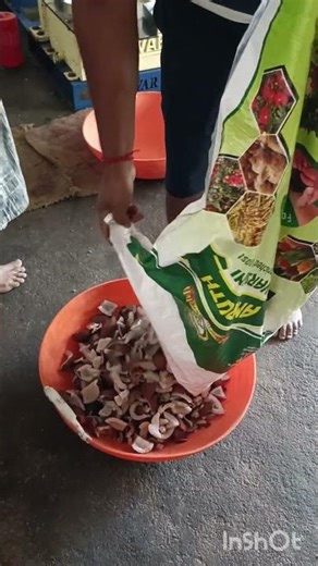 Karnataka to Tamil mini vlog