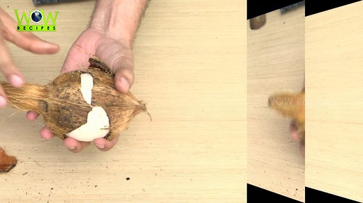 Easiest way to Remove Coconut Flesh From Shell with in 30 seconds