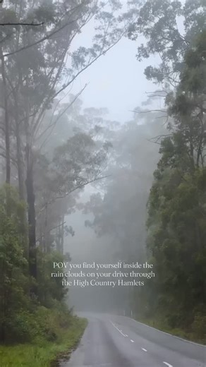 The Hamlets offer a different experience in every forecast. With these storms dancing across our region it is a beautiful time to explore. If you are visiting us this weekend please keep your travels slow and your headlights on. ⛈️🤍 | High Country Hamlets