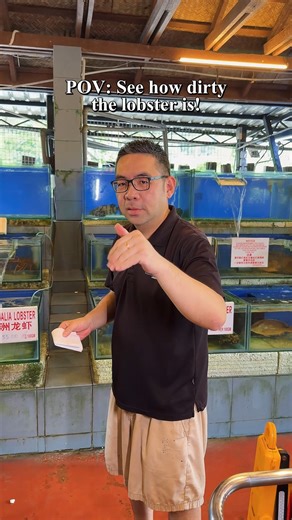 Dirty lobster? Nope, just showing you how FRESH it is at Fish Farm Restaurant! 🦞✨ #toprestaurantlangkawi #fishfarmlangkawi #kuahrestaurant #langkawifoodie #LangkawiEats | Fish Farm Restaurant Langkawi