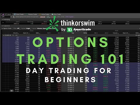 Options Trading 101 || Day Trading For Beginners