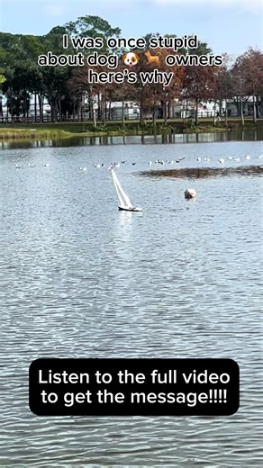 Random rant 🤷🏾‍♂️ my mind be wondering when I walk 🏃‍♂️ #video #dog #doglover #random