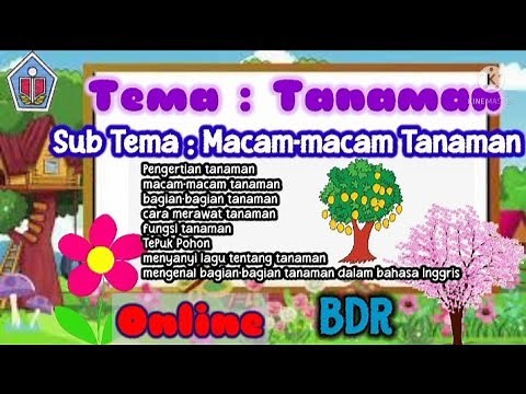 Video Pembelajaran | Tema: Tanaman | Sub Tema: Macam-macam Tanaman. Untuk anak PAUD-TK. ONLINE BDR