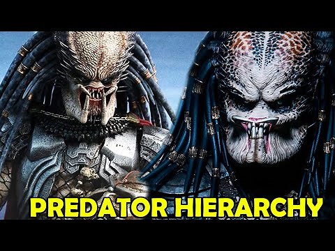 PREDATOR: HIERARCHY EXPLAINED - THE YAUTJA CODE OF HONOR EXPLAINED - WHY DO PREDATORS HUNT?