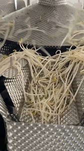 Noodle Packing Machine Maltihead..... | Ravi Kumar Singh