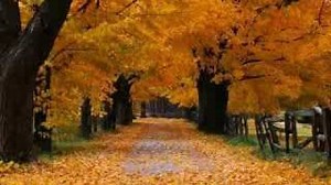 DO NOT STAND AT MY GRAVE AND WEEP Lyrics - KATHERINE JENKINS | eLyrics.net