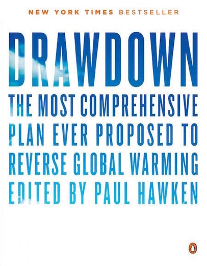 Drawdown Ecochallenge 2023