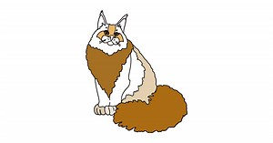 Maine Coon Cat coloring page ♥ Online and Print for Free!