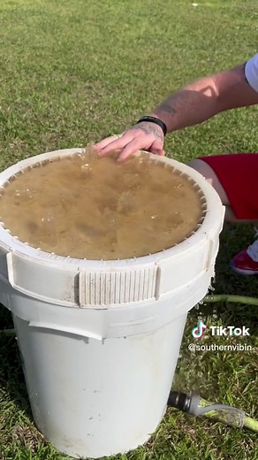 How to Clean Crawfish: Easy Step-by-Step Guide