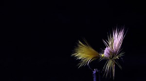 Bob Quigley developed this pattern back in 1978 while fishing the Fall River in Northern California. The Quigley Cripple represents a mayfly emerging from the nymphal shuck. It can be tied in a range of colors/sizes to match your local hatches. | East Rosebud Fly Shop