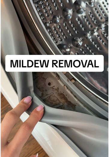 Is your washing machine covered in mildew stains? Do you want to know how to fix it? Get the @USEACTIVE Mold Stain Remover Gel. Shake the bottle, and then apply the gel to the affected area. Allow it to sit for 3-5 hours so the formulation can penetrate. Afterward, use a damp towel or sponge to wipe away the gel. If a few stubborn stains remain, simply repeat the process. #mildewremover #washermachine #dirtywashingmachine #activemoldstainremover
