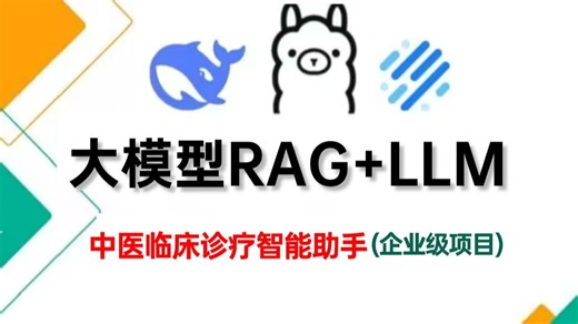 【2025版】这可能是B站唯一把大模型RAG LLM实现中医临床诊疗智能助手项目实战讲明白的教程！耗时千小时开发，存下吧，比啃书好太多了！