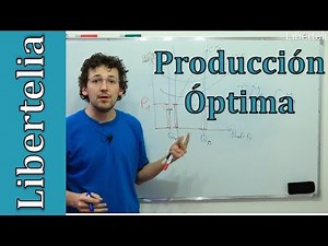 Optimum Production in Perfect Competition | Microeconomics | Libertelia