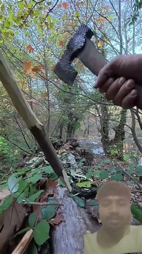 #bushcraft #camping #survival #survivalist #bushcraftskills #forestliving