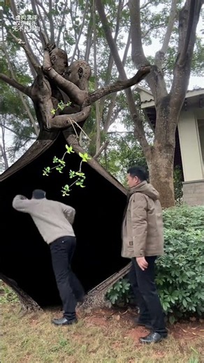 I Saw Someone Fall Into the Mysterious Lovers’ Tree #funny #unbelievably