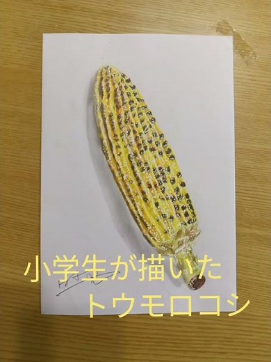 小学生が描いた焼きトウモロコシの絵＃イラスト＃色鉛筆イラスト＃小学生＃アート＃トウモロコシ＃焼きトウモロコシ