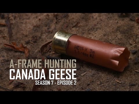 FRAMES + FRIENDS | A-Frame Hunting Canada Geese