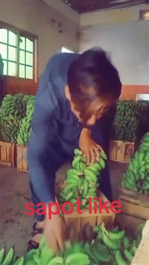 fugs iyfce iu8ge kohyd kguvd k (@fugs.iyfce.iu8ge.k)’s videos with original sound - fugs iyfce iu8ge kohyd kguvd k