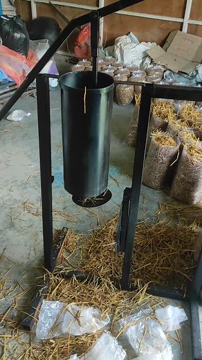 Mushroom cultivation bagging machine using 3 hrs 150 pack #mushroomfarming #baging | Mds Mushroom