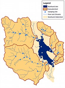 Your Impact Starts Here