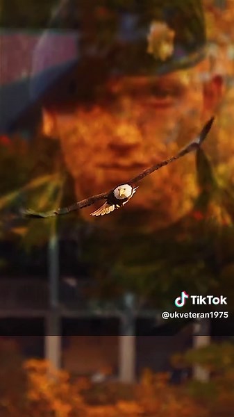 Navigating Veteran Mental Health Challenges