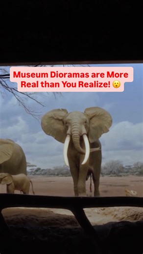 1.5K views · 16 reactions | When art and science collide, the possibilities and opportunities are almost endless. If you want to learn more about artists bringing science into their practice, check out “Art & Science Collide” on the PBS app. #art #artist #science #museum #diorama | PBS SoCal | Facebook