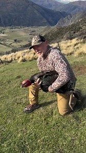 252K views · 3.5K reactions | Turkeys for Tomorrow and New Zealand Turkey Adventures worked with a local landowner to capture wild turkeys that would have been slaughtered as they were considered as nuisance. These 34 birds were released on a property where the landowners are taking a conservation approach to managing birds for longevity. #ForTurkeys #TurkeysForTomorrow | Turkeys For Tomorrow | Facebook