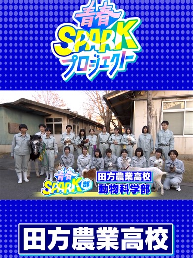 2/4 #田方農業高校#動物科学部#青春SPARK部 #青春スパーク部 #青スパ #高校生 #静岡 #DaiichiTV #ZIP