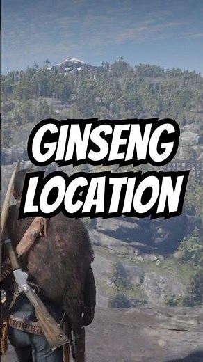 Alaskan Ginseng location #rdr2