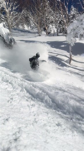 Mastering Snowboard Techniques for Powder Snow