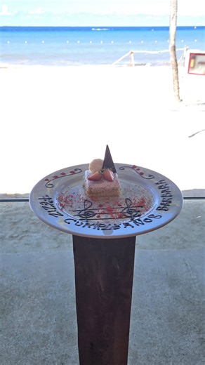 One of the best trips with my family to Cozumel. I went snorkeling in El Cielo reef ,swimming , played volleyball and also celebrated my nana’s birthday. My brother did some diving in Playacar reef and saw sea turtles, barracuda and awesome coral reefs. I will definitely go back again and swim with the sea turtles. #Playacarreef #birthdayweek #familytrip #snorkeling #cozumel | Anthony Vohra