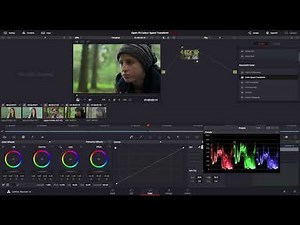 Resolve Colour Space Transform Overview
