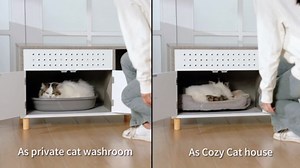 Petsfit Litter Box Enclosure, Odor-Free Design, Storage Cabinet, Easy-Clean, and Stylish Hidden Litter Box Furniture (C-White)