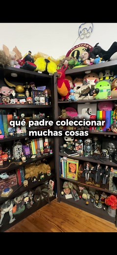 Mudanza Caótica: Mi Experiencia Divertida