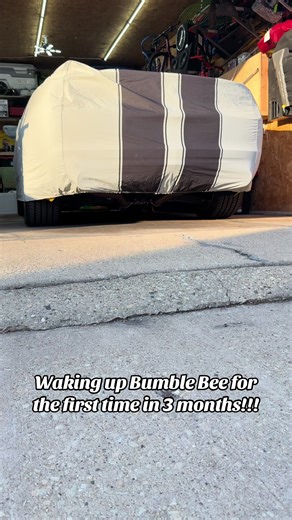 Wake up Bumble Bee… almost Car Show Season!!! #chicagocarscene #car #carsoftiktok #camaro #transformers @Chevrolet @SpeedincUSA @TransformersOfficial @Tania Moumji Benavides @Bad Bunny