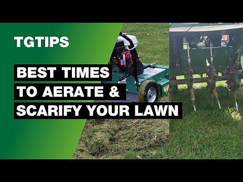 Best Time Of Year To Scarify and Aerate Your Lawn