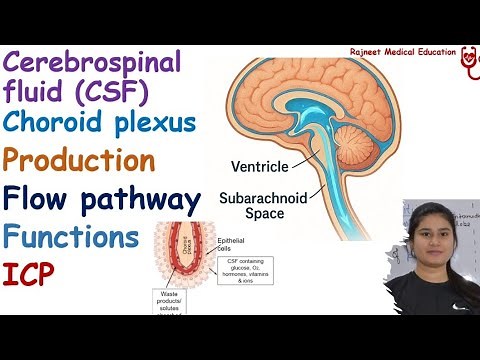 Cerebrospinal Fluid | Production | Functions | Flow Pathway