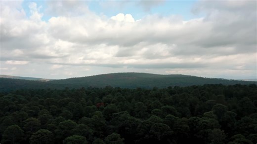Cloudy sky over lush forested hills - Free Stock Video