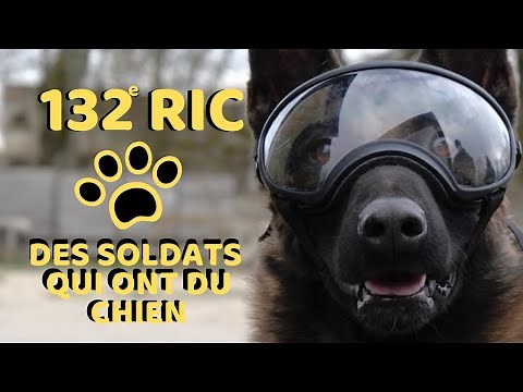 Chiens soldats au 132e RIC