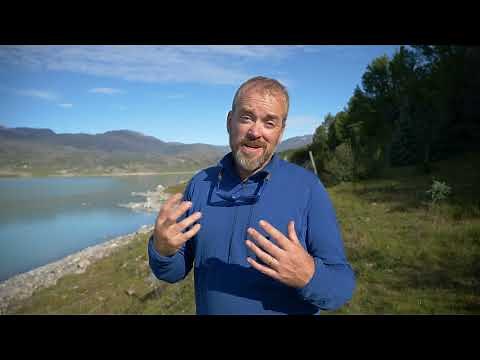 Greenland Trees - 'Save the Trees' campaign for 2022