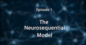 Stress, Trauma, and the Brain: Insights for Educators