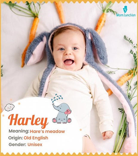 Harley: Name Meaning, Origin, History, and Popularity