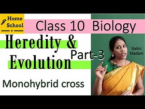 Heredity & Evolution class 10 Biology Part-3