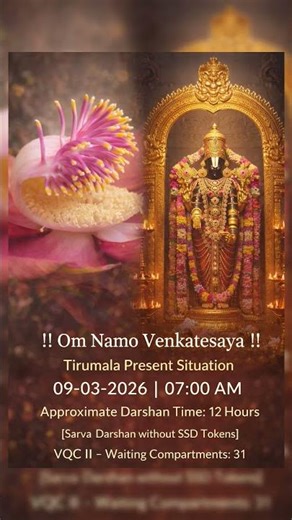 LIVE Tirupati Darshan Today | Tirumala Situation | TTD