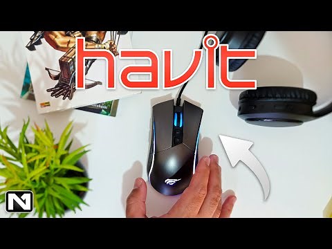 Is the Havit HV-MS1001 gaming mouse the best value for money? Full review!